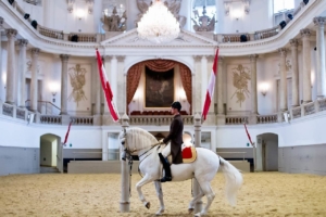 Spanische Hofreitschule Spanische Hofreitschule