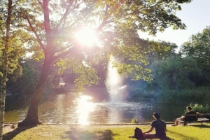 Türkenschanzpark Türkenschanzpark Wien